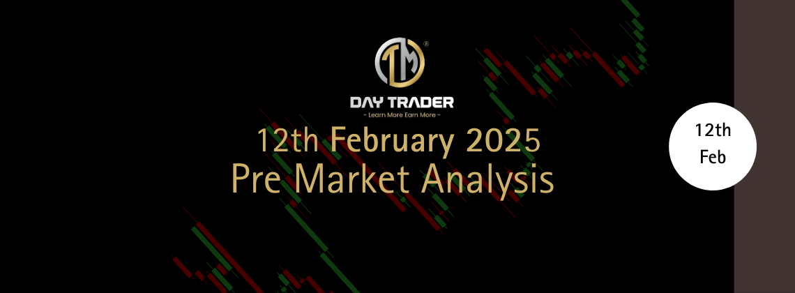 pre market analysis feb 12